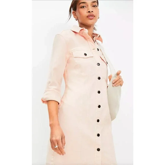 NEW ANN TAYLOR LOFT PINK SEAMED DENIM MINI POCKET DRESS SZ 8P 8 PETITE - Picture 2 of 6